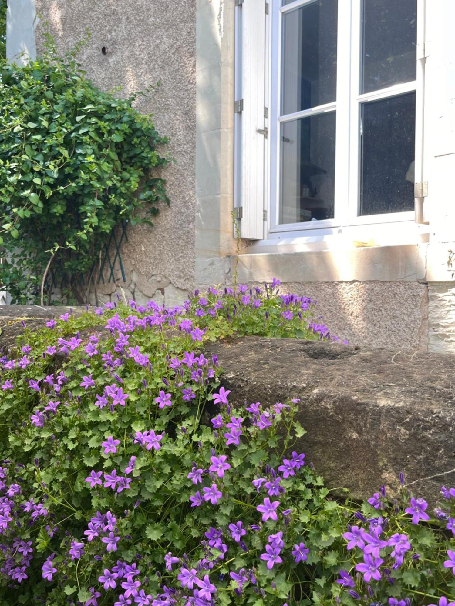 Le Clos Gabrielle Châtellerault Екстериор снимка